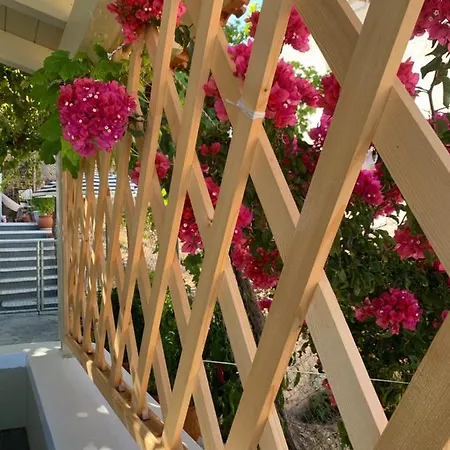 Tatil Evi Nestor's House