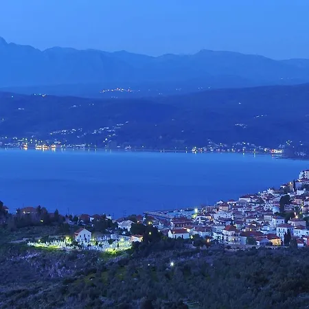 펜션 Nestor's House *